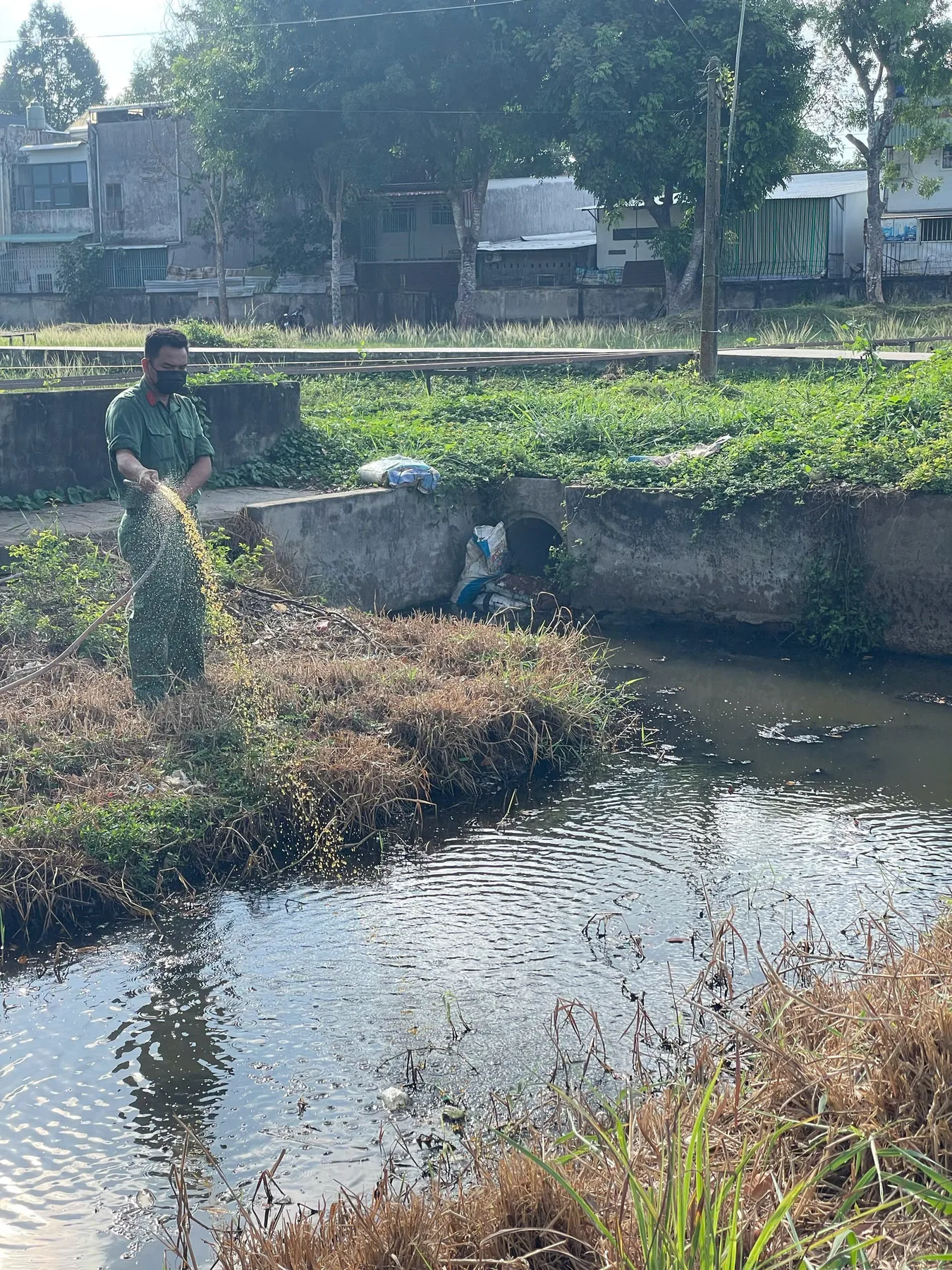 Treatment activity along a wastewater channel at the Soc Trang pilot site